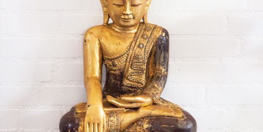 Deugdenyoga in Alkmaar bij Yogaschool de Yogawereld